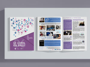 Le Loria en Bref n°6